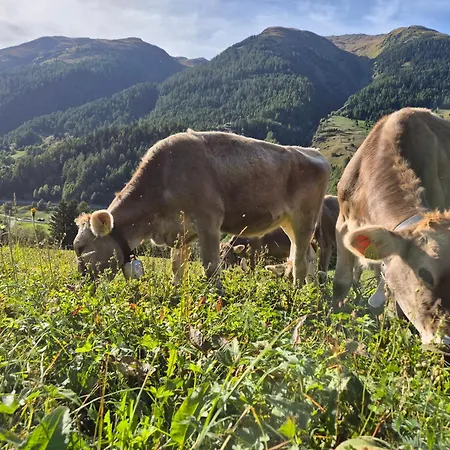 Gemuetliches Walliser Nahe Aletschgebiet 公寓 布里特泽根