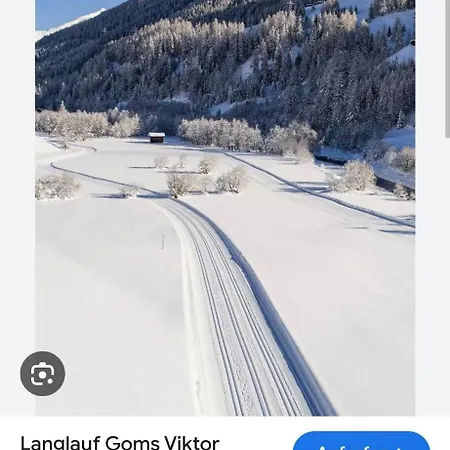 Gemuetliches Walliser Nahe Aletschgebiet Appartement