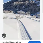 Gemuetliches Walliser Nahe Aletschgebiet شقة